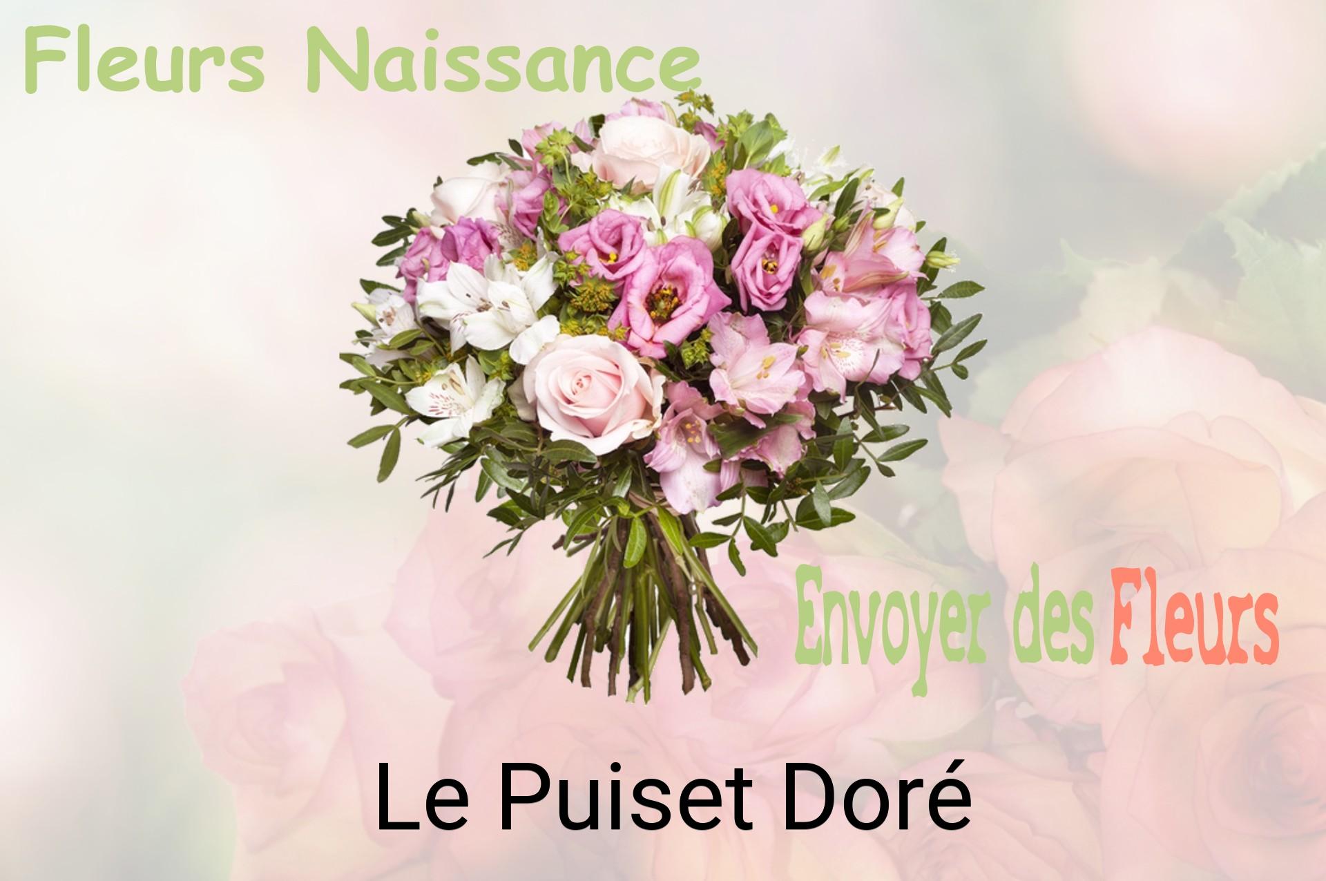 Bouquet de fleurs de naissance livré à Le Puiset-Doré